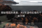 揭秘背后的黑幕：大V与酒吧后巷的千丝万缕