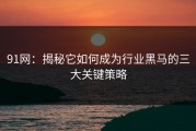 91网：揭秘它如何成为行业黑马的三大关键策略