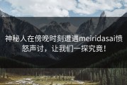 神秘人在傍晚时刻遭遇meiridasai愤怒声讨，让我们一探究竟！