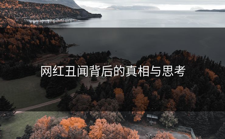 网红丑闻背后的真相与思考