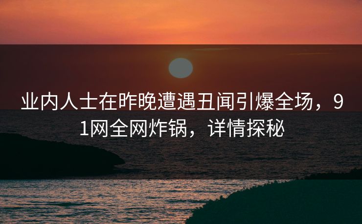 业内人士在昨晚遭遇丑闻引爆全场，91网全网炸锅，详情探秘