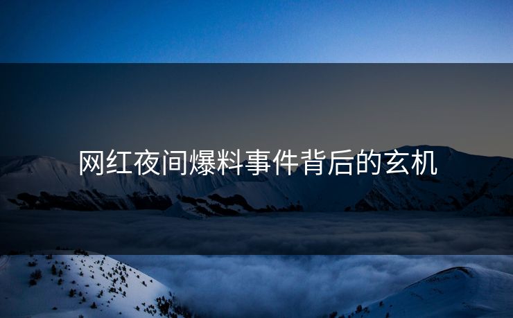 网红夜间爆料事件背后的玄机