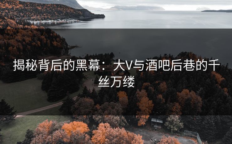揭秘背后的黑幕：大V与酒吧后巷的千丝万缕