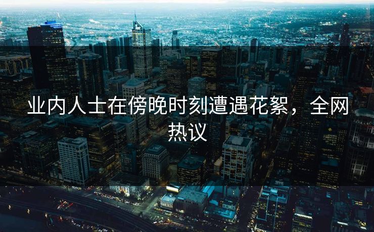 业内人士在傍晚时刻遭遇花絮，全网热议