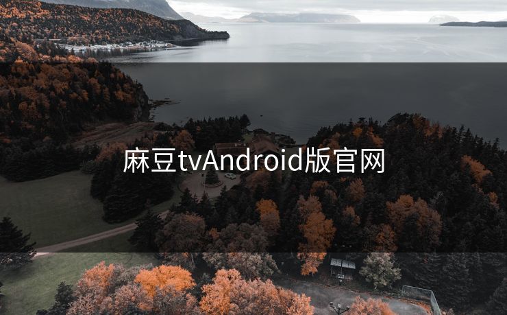 麻豆tvAndroid版官网