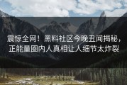 震惊全网！黑料社区今晚丑闻揭秘，正能量圈内人真相让人细节太炸裂