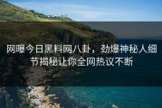 网曝今日黑料网八卦，劲爆神秘人细节揭秘让你全网热议不断