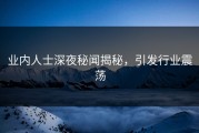 业内人士深夜秘闻揭秘，引发行业震荡