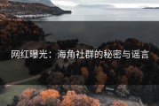网红曝光：海角社群的秘密与谣言