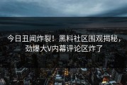 今日丑闻炸裂！黑料社区围观揭秘，劲爆大V内幕评论区炸了