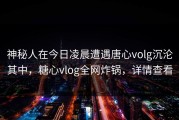神秘人在今日凌晨遭遇唐心volg沉沦其中，糖心vlog全网炸锅，详情查看
