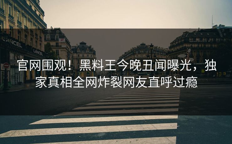 官网围观！黑料王今晚丑闻曝光，独家真相全网炸裂网友直呼过瘾