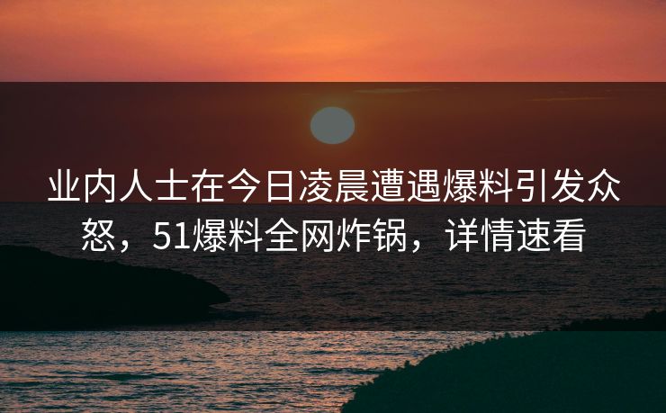 业内人士在今日凌晨遭遇爆料引发众怒，51爆料全网炸锅，详情速看