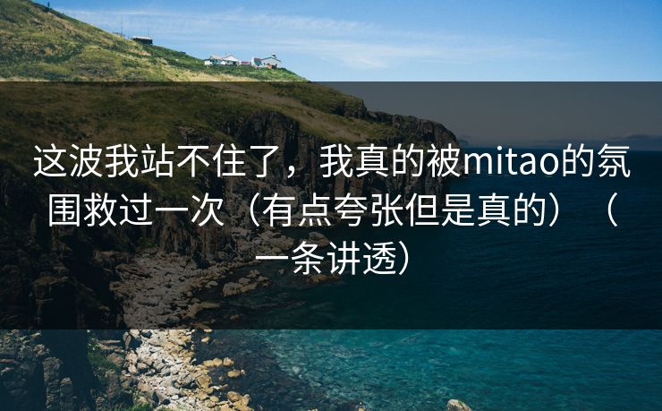 这波我站不住了，我真的被mitao的氛围救过一次（有点夸张但是真的）（一条讲透）